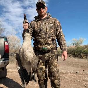 Meet your Posher, Shelby